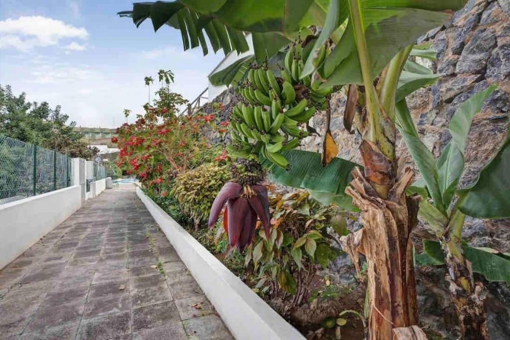 Paradise Studio Belair Wifi, Piscina, Parking بويرتو ذي لا كروز المظهر الخارجي الصورة