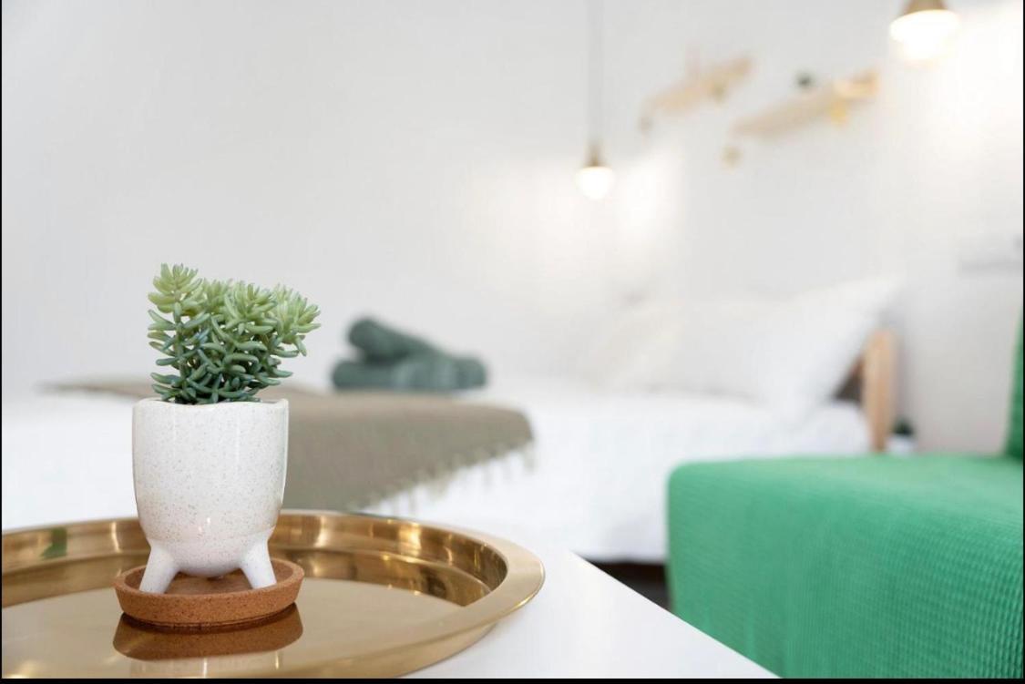 Paradise Studio Belair Wifi, Piscina, Parking بويرتو ذي لا كروز المظهر الخارجي الصورة